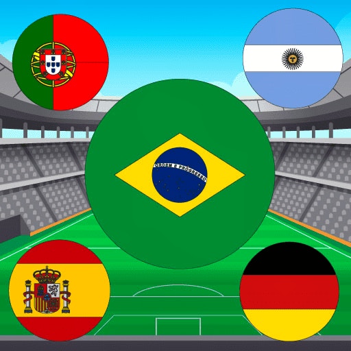 game World Cup Flag Match