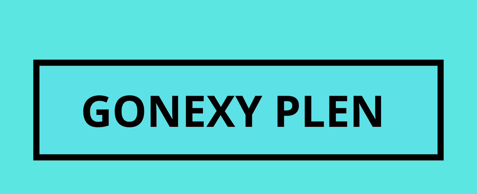 gonexy.com